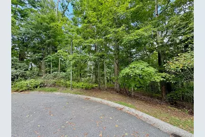 Tbd Galax Lane, Banner Elk, NC 28604 - Photo 5