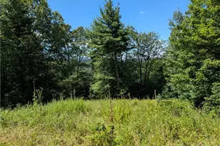Lot #3 Parkway Pointe Dr, West Jefferson, NC 28694 - Photo 1