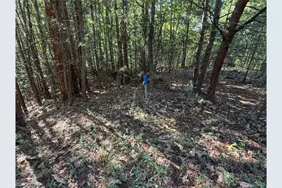 Lot 24 Wolf Pen Road, Purlear, NC 28665 - Photo 11