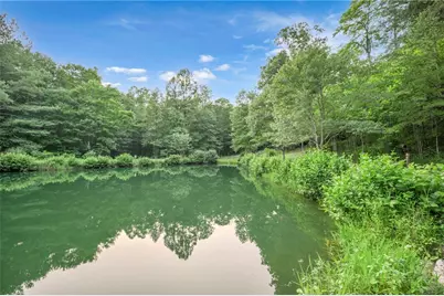 Lot 24 Wolf Pen Road, Purlear, NC 28665 - Photo 37