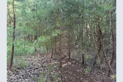 Lot 24 Wolf Pen Road, Purlear, NC 28665 - Photo 5