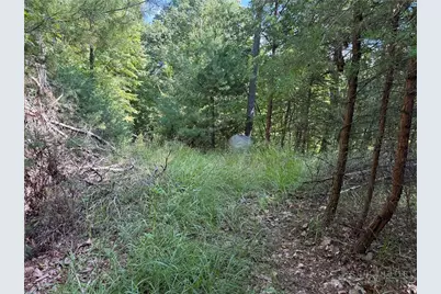 Lot 24 Wolf Pen Road, Purlear, NC 28665 - Photo 15