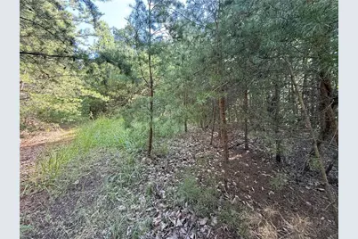 Lot 24 Wolf Pen Road, Purlear, NC 28665 - Photo 17