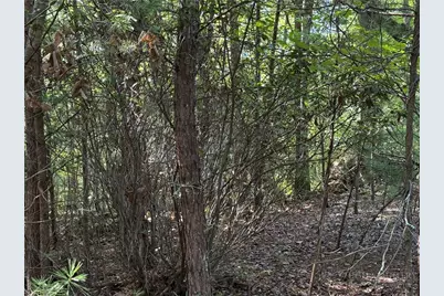 Lot 24 Wolf Pen Road, Purlear, NC 28665 - Photo 13