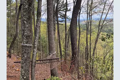 Lot 24 Wolf Pen Road, Purlear, NC 28665 - Photo 25