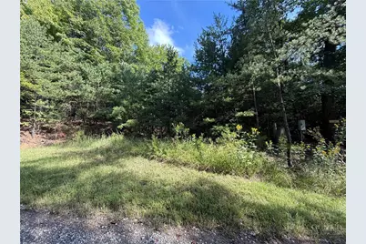 Lot 24 Wolf Pen Road, Purlear, NC 28665 - Photo 1