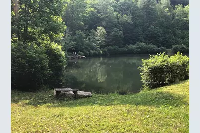 Lot 24 Wolf Pen Road, Purlear, NC 28665 - Photo 35