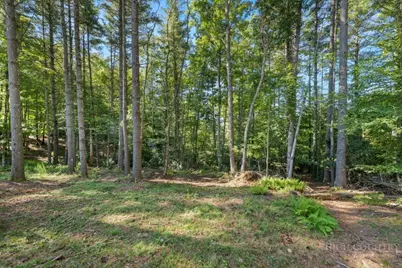 767 Wolfpack Drive, West Jefferson, NC 28694 - Photo 41