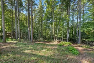 767 Wolfpack Dr, West Jefferson, NC 28694 - Photo 41
