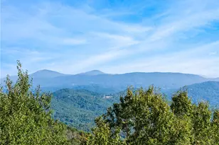 1729 Spice Bottom Trail, Banner Elk, NC 28604 - Photo 33