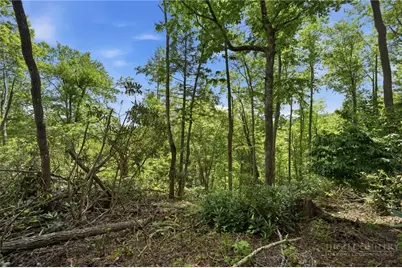 Tbd (Lot 60) Raven Ridge Road, Banner Elk, NC 28604 - Photo 3
