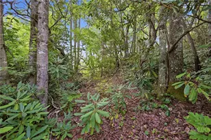 Tbd (Lot 60) Raven Ridge Rd, Banner Elk, NC 28604 - Photo 1
