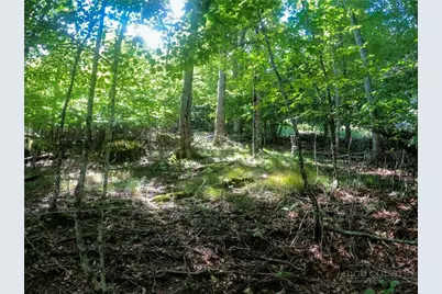 112 Tamarack Road, Beech Mountain, NC 28604 - Photo 9