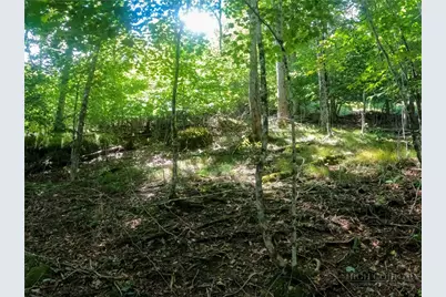 112 Tamarack Road, Beech Mountain, NC 28604 - Photo 7