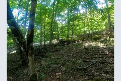 112 Tamarack Road, Beech Mountain, NC 28604 - Photo 5