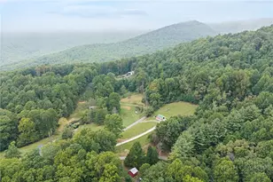 443 Holman Rd, Todd, NC 28684 - Photo 37