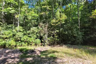 105 Chipmunk Ln, Beech Mountain, NC 28604 - Photo 1