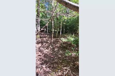 105 Chipmunk Lane, Beech Mountain, NC 28604 - Photo 7