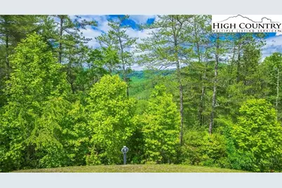 Lot 1 Reynolds Parkway, Ferguson, NC 28624 - Photo 1