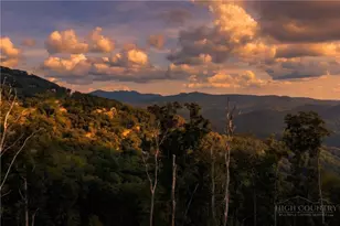 S123 Silver Eagle Trail, Banner Elk, NC 28604 - Photo 1