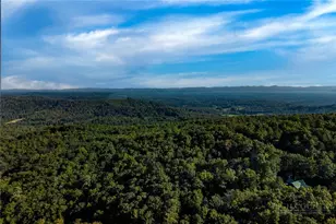408 Broomtail Ln, McGrady, NC 28649 - Photo 43