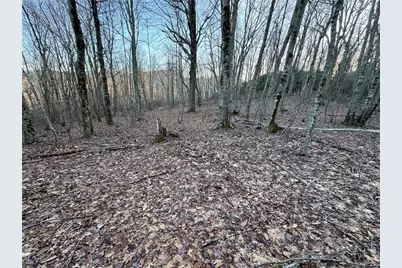 Tbd Pigeon Roost Road, Banner Elk, NC 28604 - Photo 7