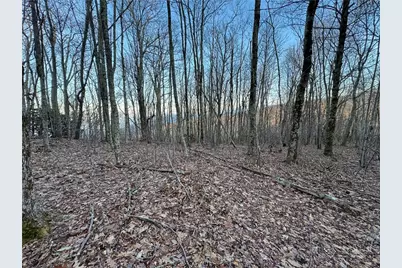 Tbd Pigeon Roost Road, Banner Elk, NC 28604 - Photo 5