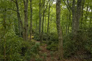 Lot 3 Fieldstone Heights Dr, Blowing Rock, NC 28605 - Photo 1