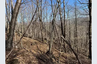 Lot 32 Jewel Weed Trail, Newland, NC 28657 - Photo 3
