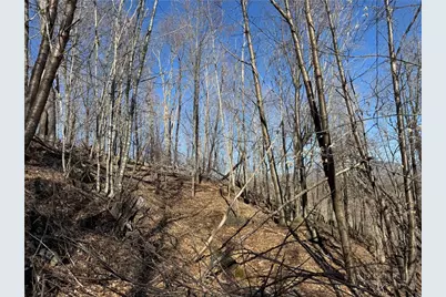 Lot 32 Jewel Weed Trail, Newland, NC 28657 - Photo 5