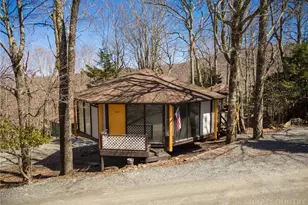240 Birchwood Ln, Beech Mountain, NC 28604 - Photo 21