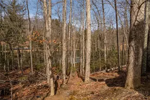 603 Hawk Ridge Rd, Deep Gap, NC 28618 - Photo 31
