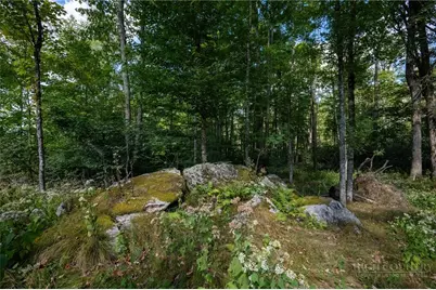 Es94 Twisted Oak Path, Banner Elk, NC 28604 - Photo 7