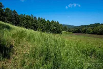 3305 Zacks Fork Road, Lenoir, NC 28645 - Photo 13