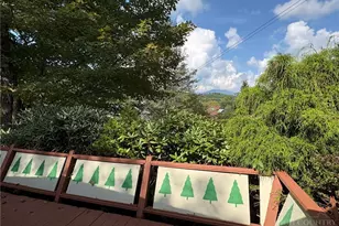 16 Wineberry Ln, Newland, NC 28657 - Photo 21