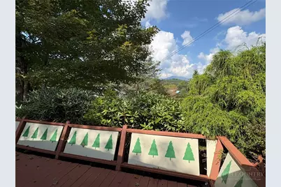 16 Wineberry Lane, Newland, NC 28657 - Photo 3