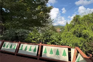 16 Wineberry Ln, Newland, NC 28657 - Photo 3