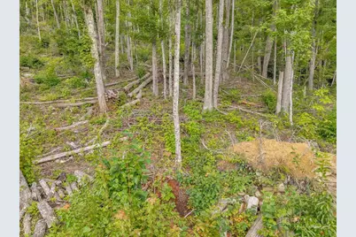Lot C-94 Foxfire Road, Banner Elk, NC 28604 - Photo 29