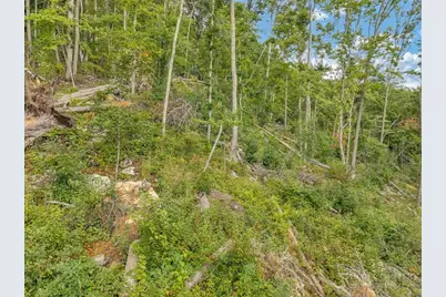 C-95 Foxfire Road, Banner Elk, NC 28604 - Photo 35