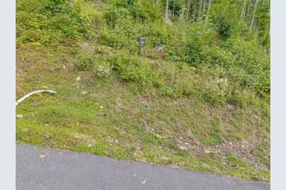 C-95 Foxfire Road, Banner Elk, NC 28604 - Photo 13