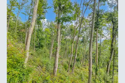 C-94 & C-95 Foxfire Road, Banner Elk, NC 28604 - Photo 29