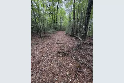 Lot 11 Bell Branch Road, Hays, NC 28635 - Photo 7