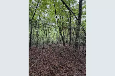 Lot 11 Bell Branch Road, Hays, NC 28635 - Photo 5