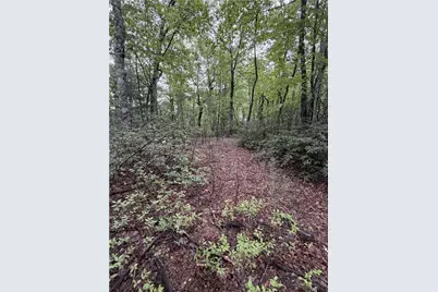 Lot 11 Bell Branch Road, Hays, NC 28635 - Photo 3