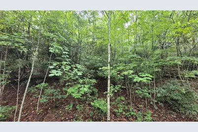Xx Gumtree Road, Beech Mountain, NC 28604 - Photo 3