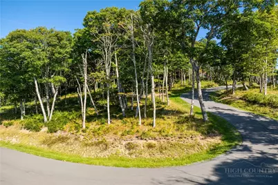 Tbd (Lot 8) Chappell Farm Road, Banner Elk, NC 28604 - Photo 9