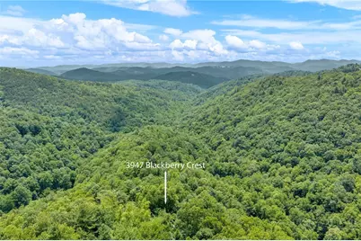3947 Blackberry Crest Lane, Lenoir, NC 28645 - Photo 49