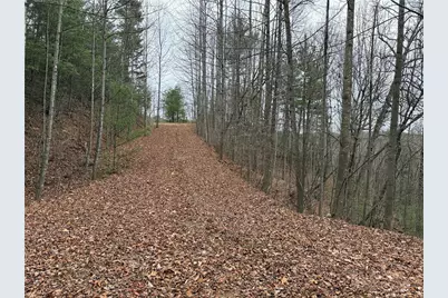 Lot 218 Casey Mountain Road, Purlear, NC 28665 - Photo 19