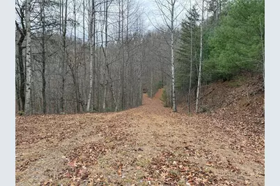 Lot 218 Casey Mountain Road, Purlear, NC 28665 - Photo 21