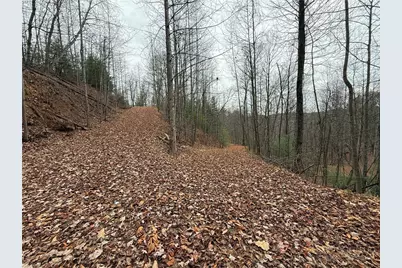 Lot 218 Casey Mountain Road, Purlear, NC 28665 - Photo 7